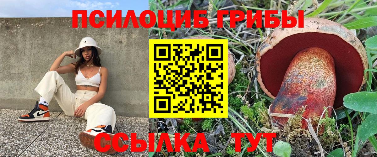 Галлюциногенные грибы MAGIC MUSHROOMS Мценск