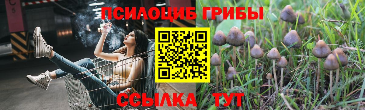 Псилоцибиновые грибы ЛСД  Галлюциногенные грибы MAGIC MUSHROOMS  Мценск  Вход с VPN 